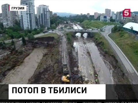 Звери из зоопарка больше не бродят по Тбилиси