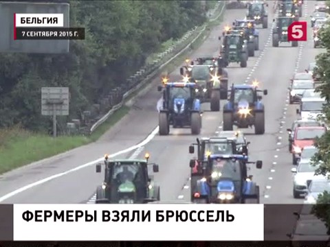 Совет ЕС обсудит предложение об увеличении закупочной цены молока
