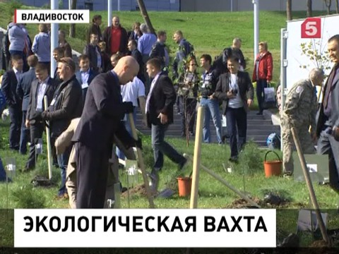 Руководители российских заповедников высадили во Владивостоке аллею кедров