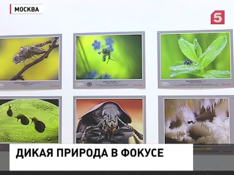 В Москве открылась фотовыставка 