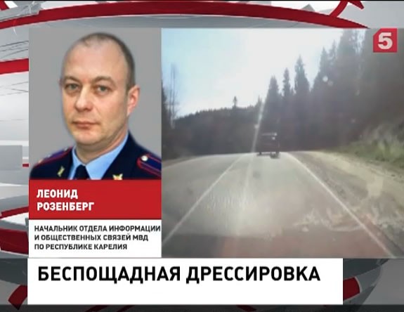 В Карелии водитель-живодер тащил по трассе привязанную к машине собаку