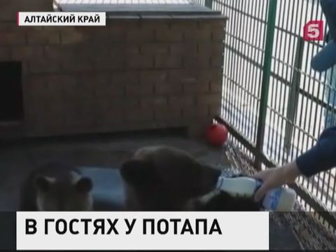 Сотрудники МЧС спасили медвежонка в Алтайском крае