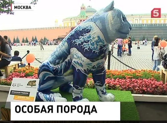 На Красной площади проходит «Парад диких кошек»