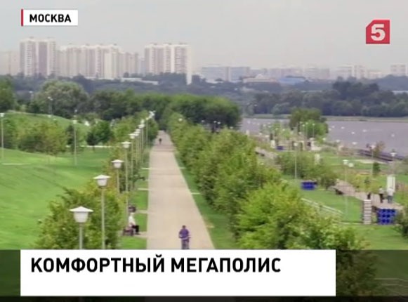 Столичные власти рассказали о программе озеленения Москвы