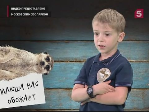 В Московском зоопарке появился новый сотрудник
