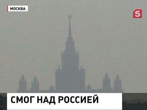 Ветер принес дым сибирских пожаров в центральный регион России