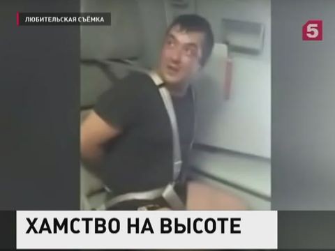 Полицейские наказали дебошира, снятого с авиарейса Южно-Сахалинск-Москва