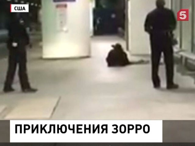 В Лос-Анджелесе сообщили о стрельбе в аэропорту