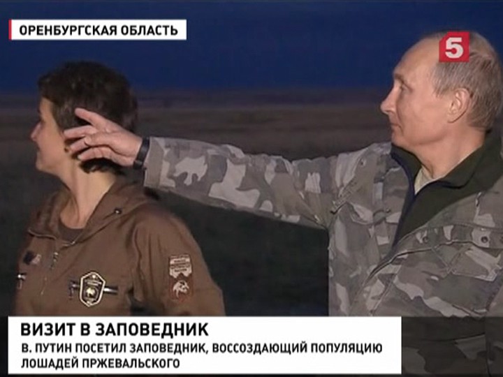 Владимир Путин побывал в заповеднике, где спасают краснокнижных животных