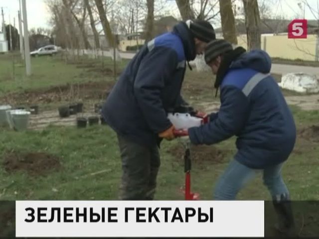 В рамках строительства Крымского моста специалисты озеленяют территории