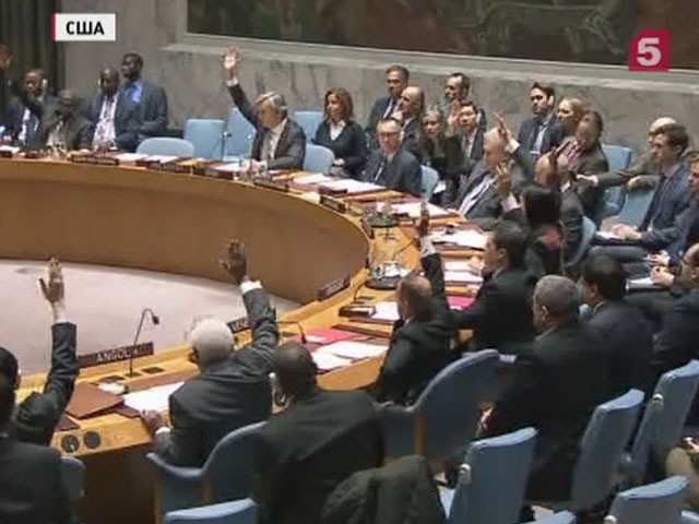 Совбез ООН единогласно принял резолюцию России по Сирии