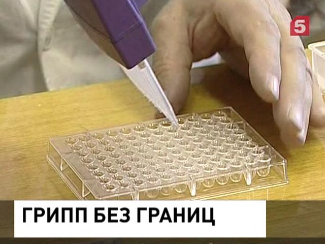 Россиян атакуют сразу несколько вирусов гриппа