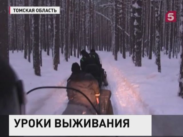 Следователи заинтересовались лыжной прогулкой четвероклассников в Томской области