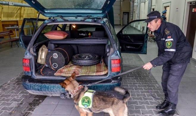Собака-пограничник унюхала нелегальные 800 тысяч рублей