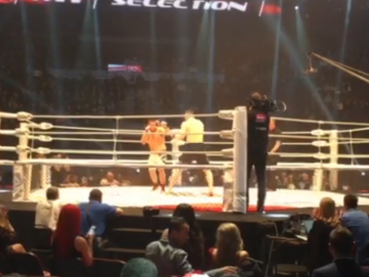 Гала тв новости видео