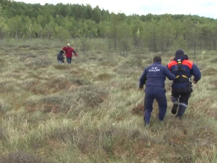 Пропавших детей спасатели обнаружили в лесу