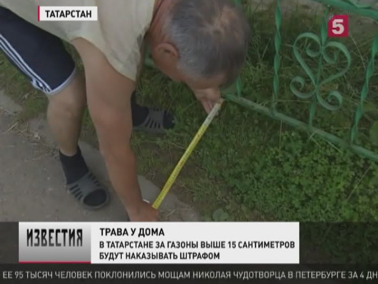 Зачем чиновники Татарстана измерили высоту травы на газонах
