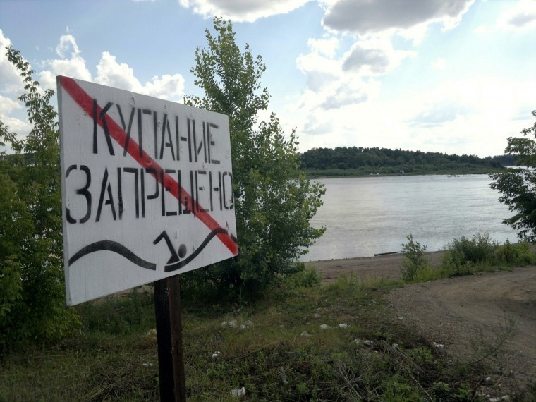 В Рязанской области подросток утонул, спасая брата и сестру