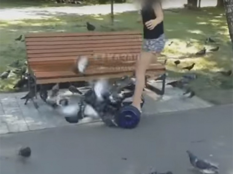 Казанские полицейские нашли героиню видеоролика, давившую голубей на гироскутере