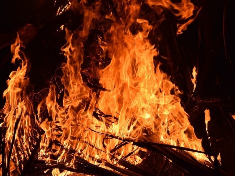 Женщина и трое маленьких детей погибли при пожаре в Новгородской области