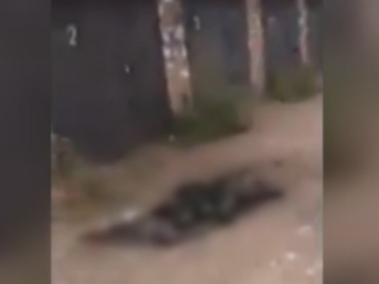 В Башкирии неизвестные сожгли завернутого в ковер человека за гаражами