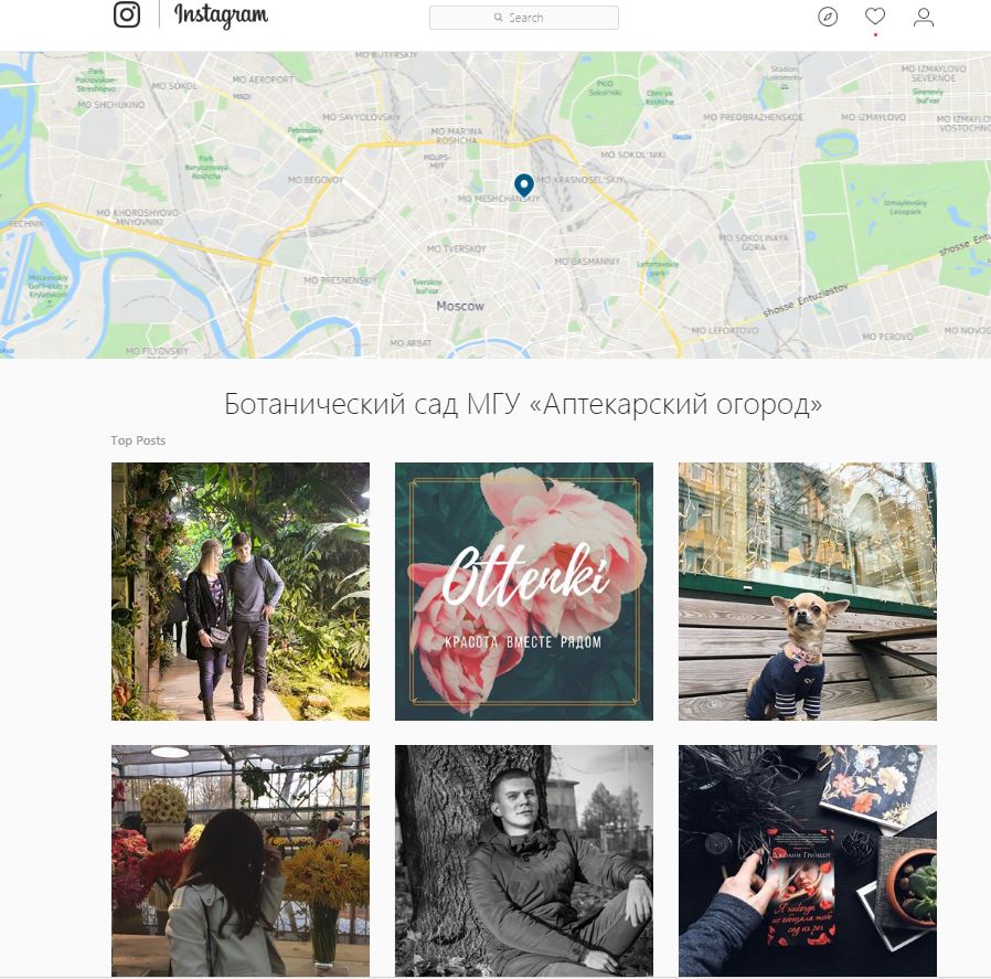 «Вопиющий беспредел»: социальная сеть Instagram заблокировал страничку Ботанического сада МГУ «Вопиющий беспредел»: социальная сеть Instagram заблокировал страничку Ботанического сада МГУ