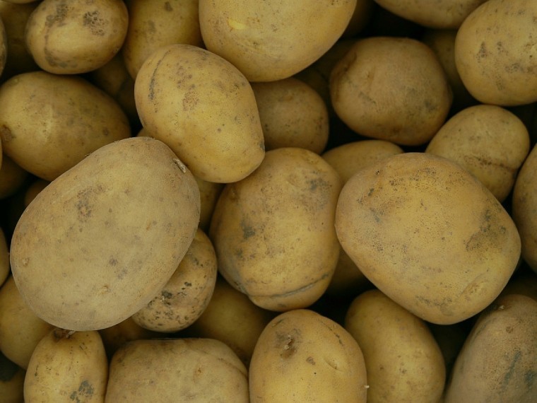 Эксперты: россиянам стоит запастись картошкой — она подорожает