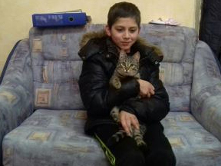 Бездомный кот спас жизнь потерявшемуся в мороз подростку в Калининградской области