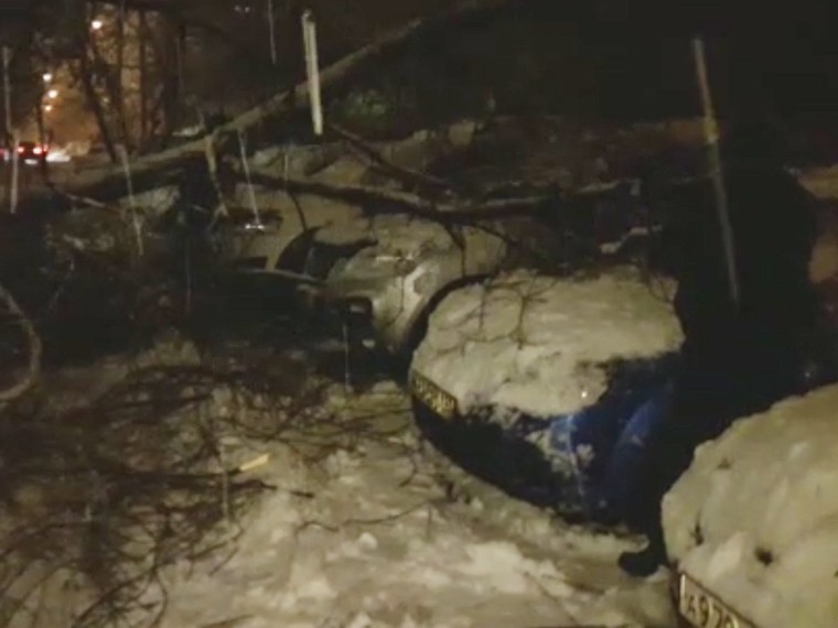Появилось видео из Москвы, где 4 автомобиля были повреждены упавшим деревом