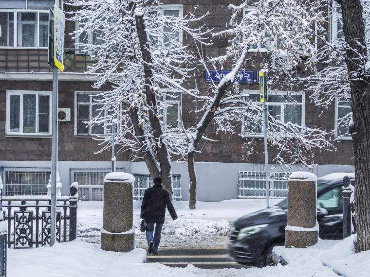 Свыше сотни деревьев упали в Москве на автомобили из-за снегопада
