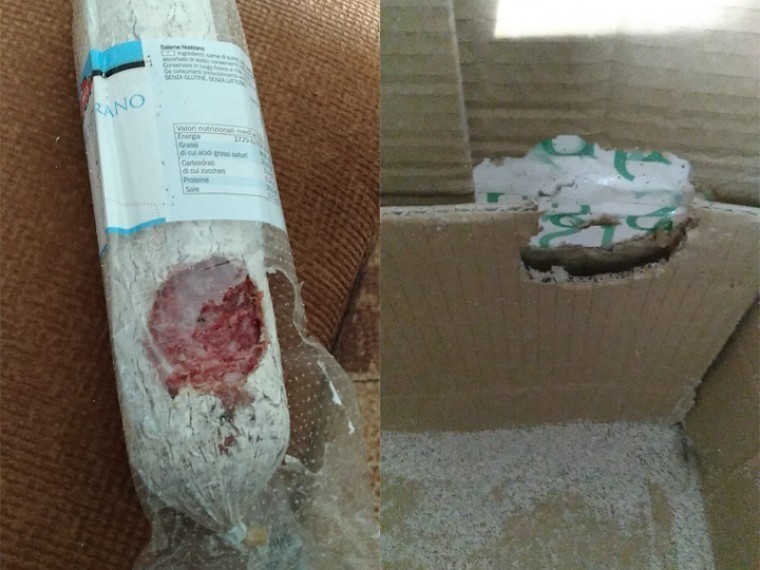 Клиент Почты России получил посылку, которую покусали крысы