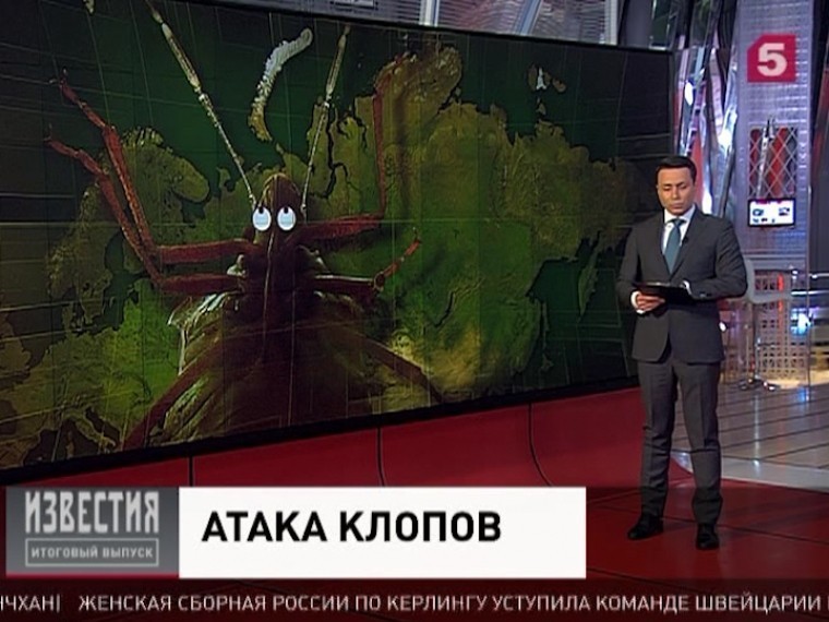 : 5-tv.ru