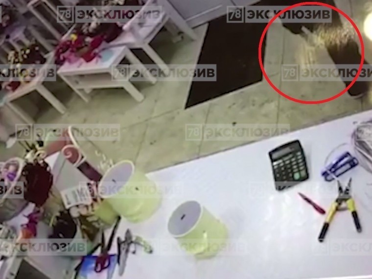 Ограбление цветочного салона в Петербурге попало на видео