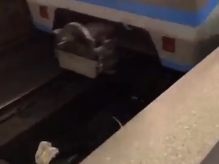 Полиция задержала видеоблоггера, который прыгнул под поезд метро “ради хайпа”