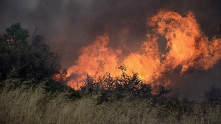В Греции арестовали предполагаемого виновника бушующих лесных пожаров